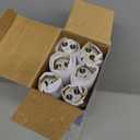 18 Inch F15T8/CW T8 15W Light Bulb Cool White, F15T8/SP41 Replacement Bulb for Garage, Office, Kitchen Under-Cabine, G13 Base 6 Count