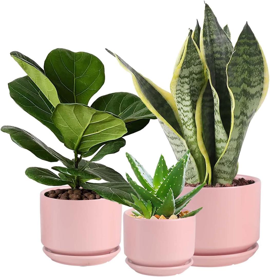 Ceramic Plant Pots with Drainage Hole and Saucer,Modern Indoor Pots for Plants,Ceramic Planter 6.7/5.3/4.3 inchs Set of 3,Indoor Flower Pot with Hole Mesh Pad, for Mom,Pink