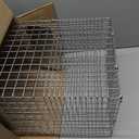 HAVAHART 1079SR Large 1-Door Humane Catch and Release Live Animal Trap Cage - Live Raccoon Trap, for Bobcats, Beavers, Dogs, & More 32.29"L x 13.1"W x 11.1"H