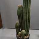 Artificial Cactus Fake Big Cactus 24 Inch Faux Cacti Plants for Home Garden Office Store Decoration