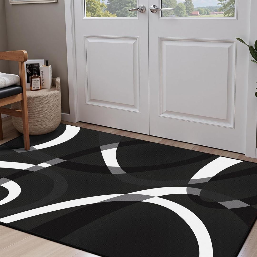 Classical Modern Black and White Stripe Pattern Area Rug for Living Room 3x5 Outdoor Rug Non Slip&Non-Shedding Low Pile Indoor Large Carpets for Bedroom, Dining Room, Home Office, Bathroom
