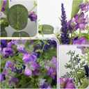 LLZLL Purple Spring Wreaths for Front Door 22 Inch Summer Wreath Artificial Violet Lavender Wreath with Eucalyptus Leaf for Spring Easter Home Decorations