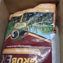 Scotts GrubEx1 - Grub Killer for Lawns, Kills White Grubs, Sod Webworms and Larvae of Japanese Beetles & More, Lawn Treatment for Season Long Grub Control, Treats up to 10,000 sq. ft., 28.7 lb.