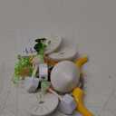 Riakrum 8 Pcs Mushroom Night Light 7 Color Changing Mushroom Lights LED Lamp Plug into Wall Sensor Cute Plant Night Lights for Bedroom, Bathroom, Stairs, Toilet, Hallway, Kitchen