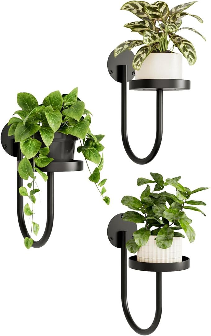 Bamworld Wall Plant Holder Wall Planters for Indoor Plants Plant Hanger Indoor Window Plant Shelves Hanging Plant Holder Window Plant Hanger Plant Decor Black 3pcs