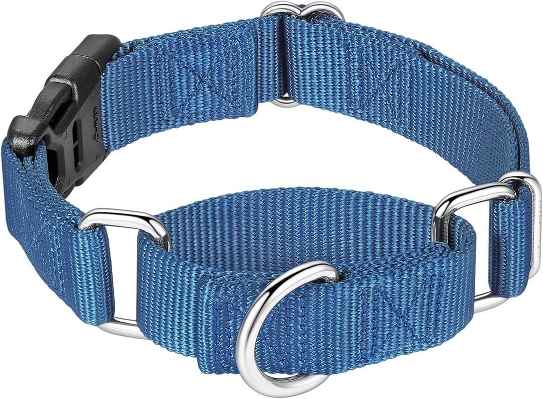 Mikivery Martingale Collar for Dogs Nylon Dog Collar with Quick Release Buckle Adjustable Training No Slip Dog Collars(Large, Haze Blue)