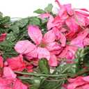 Set of 2 Sparkling Christmas or Wedding Garlands with Artificial Poinsettia Flowers - 5 Foot X 2, 10 Total!! (Multi-Pink Velvet)