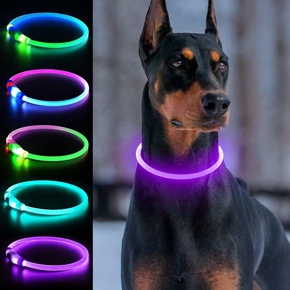 Light Up Dog Collars, USB Rechargeable Dlitk LED Dog Collar 1 Count, TPU Cuttable Size Glow Collar for Dogs, Dog Collar Light, Please Do Not Use Fast Charging (Purple)