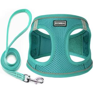 Dog Harness with Leash Set, No Pull Adjustable Reflective Step-in Puppy Pet Vest Harnesses for Dogs and Cats, Forest Green XS