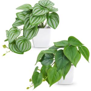 Der Rose 2Pcs Small Fake Plants Artificial Mini Faux Plants for Bathroom Office Desk Shelf Table Accessories Decor Indoor, White