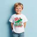 Christmas Shirts for Toddler Boys Girls Kids 2-8 Years, Santa Reindeer Snowman Dinos Truck Short Sleeve Tee