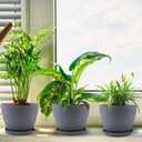 2 x Plant Pots- 8.5/7.5/6.5/6 Inches 4 Pack Plastic Plant Pots,Indoor Decor Flower Pots with Drainage Holes and Tray,Home Decor Planters for Indoor Plants Cactus, Succulents Pot(Gray)