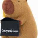 Graduation 2026 Capybara Plush Toy, 9 Inch Capybara Stuffed Animal with Graduation Cap and Diploma, Class of 2026 Congratulations Plush Gift for Kids, Teens, Seniors and Graduates