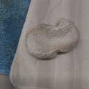 F2 Steam Mop,12-in-1 Handheld Steam Cleaner,Powerful Detachable Steam Mop for Floor Cleaning,360ML Tank,15FT Power Cable,Scrubbing Steam Cleaner for Home,Hardwood,Tile,Grout,Furniture-White