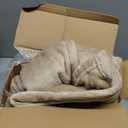 Tefici Electric Heated Blanket Throw, Super Cozy Soft 2Layer Flannel 50" x 60" Heated Throw with 3 Heating Levels & 4 Hours Auto Off, Machine Washable, ETL&FCC Certified, Home Office Use,Camel