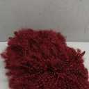 Short Kinky Curly Wigs for Black Women 12 Inches 280g/Piece Curly Afro Wig with Bangs Bouncy Fluffy Synthetic Wig (Burgundy)