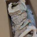 PINVNBY Turtle Basking Platform,Tortoise Resin Dock Resting Rock Reptile Habitat Ornament Hiding Cave Floating Ledge Aquarium Decoration for Bearded Dragons,Lizard,Newts,Frogs