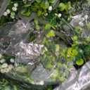 8Pcs Eucalyptus Garland with Lights, Greenery Garland, Green Garland with Flowers, 5.9FT Artificial Faux Eucalyptus Leaves Vines for Table Mantle Home Wedding Party Indoor Outdoor Decor2 Long Lights