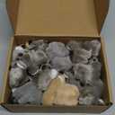 30 Pcs Koala Clip Koala Pencil Toppers 2.76" and 2" Mini Animal Bear Stuffed Plush Animal Toy Gifts for Party Office Home Supplies Piata Stuffer Purse Charm Hangings