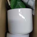 Mkono Fake Plants in Ceramic Pot, 11" Potted Artificial Plants for Home Decor Indoor Faux Green Leaf Plant with Modern White Planter for Desk Shelf Office Room Decoration (Pothos) (Small)