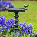 Evergreen Garden Hummingbird Bird Baths for Outdoors Heavy Duty | Metal Bird Bath Bowl with Stand | Ground Standing Bird Bath and Feeder for Garden Yard Deck