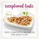 Purina Fancy Feast Delights With Cheddar Grilled Chicken and Cheddar Cheese Feast in Wet Cat Food Gravy Cat Food - (Pack of 24) 3 oz. Cans (EXP 02/01/28)