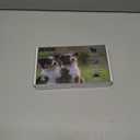 Light Up Dog Harness,Rechargeable LED Dog Harness for Small Medium Large Dogs,Reflective Lighted Safety Vest for Night Walking & Camping,Lightweight & Adjustable,Blue,XS