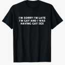 I'm Sorry I'm Late I'm Gay and I was Having Gay Sex Vintage T-Shirt S