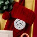 4 x VoiceGift 20 Second Multi-Message Voice Recorder, Record Custom Messages for Plush Toy, Stuffed Bear Toy, Baby Doll Toy, and Pillow - 2 Pack