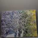 Trademark Fine Art Dublin Ireland City Map IV by Michael Tompsett, 14x19-Inch-Inch