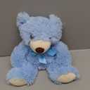 Teddy Bear Stuffed Animal, 12inch Teddy Bear Plush Toy, Birthday Valentine's Day Xmas Gifts for Kids Boys Girls Friends (Blue)
