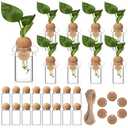 RimCereal 24 Pack 3.54'' Plant Propagation Stations 4 oz Glass Propagation Jars Planter Hydroponic Vase with Mushroom Hole Lid and Thank You Tags for Plant Lovers Office Home Garden
