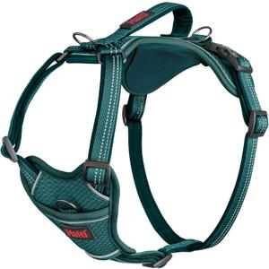 Halti Anatomy Dog Harness with Handle - Padded, Adjustable & Reflective No Pull Dog Harness, 3 Leash Attachment Points Including Front Clip, Suitable for Medium Dogs (Size M, Teal)