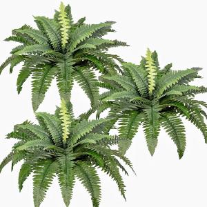 Artificial Boston Ferns Bush Plants Large, Set of 3 Large Artificial Ferns for Outdoors, 33" Faux Ferns for Home Decor Office Living Room Garden Porch Artificial Boston Ferns Bush Plants Large, Set of 3 Large Artificial Ferns for Outdoors, 33" Faux Ferns for Home Decor Office Living Room Garden Porch