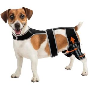 Adjustable Dog Knee Brace for Hind Leg - Double Leg Orthopedic Support with 4 Metal Stabilizers, Vest Design Dog Leg Brace for ACL/CCL Tear, Luxating Patella, Arthritis & Post-Surgery Rehab (Large)