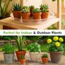 30 Packs Clear Plant Saucers for Indoor Outdoor Use 4/6/8/10/12/14 Inches Heavy Duty Plastic Plant Trays for Planter Bulk Flower Pot Drip Trays to Catch Water, Round Transparent
