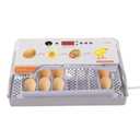 Incubator for Hatching Eggs, 20 Egg Incubators Automatic Egg Turner with Temperature & Humidity Control, 360 Viewing Incubator for Chicken, Duck and Quail Eggs