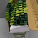 Dinosaur Toys,Create A Dinosaur World Road Race,Flexible Track Playset and 2 pcs Cool Dinosaur car for 3 4 5 6 Year & Up Old boy Girls Best Gift (Green)