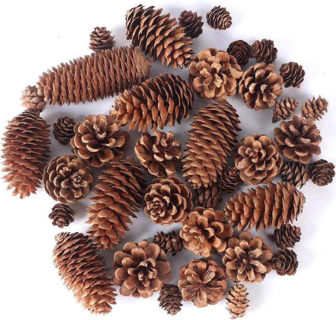 JOHOUSE 40PCS Natural Pine Cones Bulk, Pinecones Decorations Pine Cone Ornaments for Crafts Thanksgiving Christmas Wreath Table Bowl Decor, Winter Vase Filler