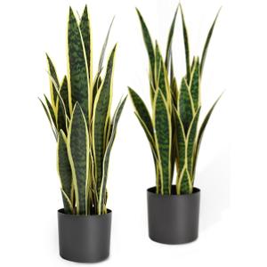 2ft 2-Pack Artificial Snake Plants in Pots, 25.6in Faux Sansevieria, Yellow