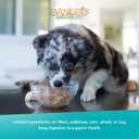 Evanger's Heritage Classic Beef with Chicken Dog Food  12 Count, 12.5 oz Each  Loaf Style Recipe with Beef & Chicken  Wet Dog Food  Grain & Gluten Free