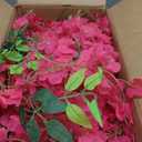 24 Pack Fuchsia Wisteria Hanging Flowers, 3.77 Ft Fake Hanging Flowers, Artificial Wisteria Garland Vines for Wedding Room Backdrop Outdoor Patio Garden Decoration