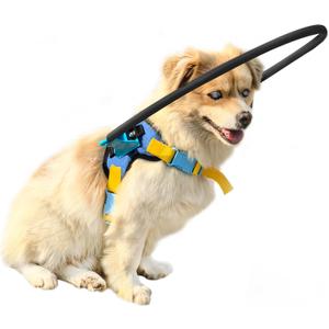 Blind Dog Halo Harness, Protective Halo Dog Collar for Blind Dogs, Confidence Building Harness Guiding Device (XS)