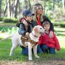 VOOPET Emotional Support Dog Harness, Professional Service Dog Vest for Medium Dogs, Reflective, Breathable, Adjustable, No Pull/Choke, ESA Essential Harness