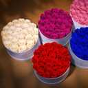 Prifroti 27 Flowers in a Luxury Suede Box, Birthday Gifts for Women, Preserved Flowers, Mothers Day Roses Gift for Mom, Dusty Rose