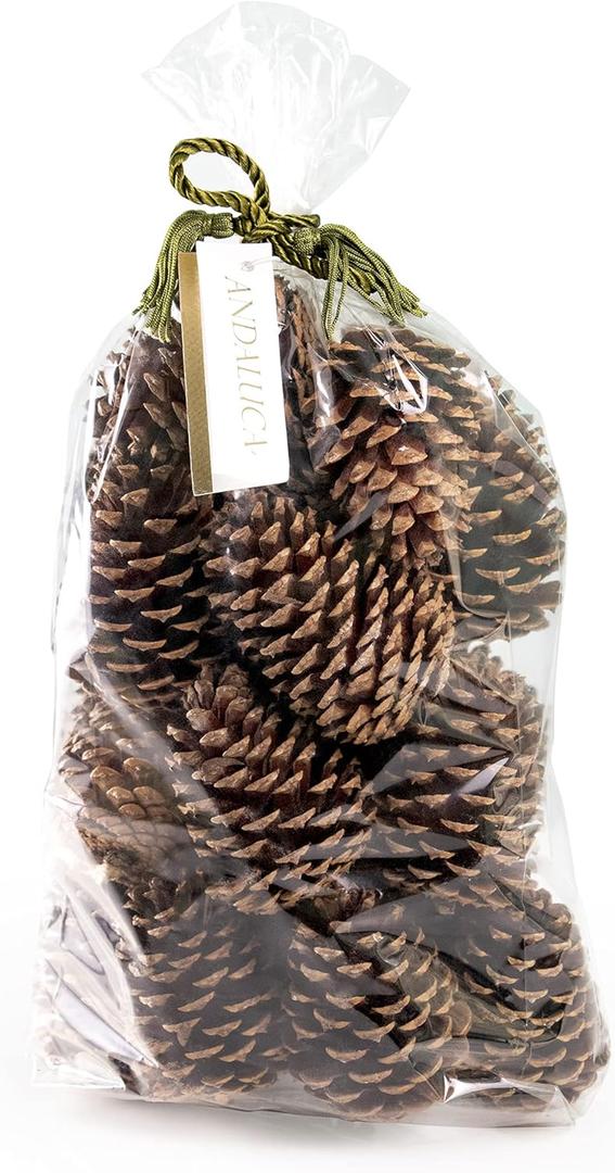 ANDALUCA Pinecone Vase & Bowl Fillers | Scented Pine Cones Decor (Natural)