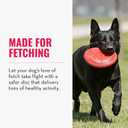 KONG Flyer - Durable Dog Toy for Outdoor Playtime - Natural Rubber Flying Disc, Dog Toy for Fetch - Safer Disc for Healthy Activity - for Medium/Large Dogs