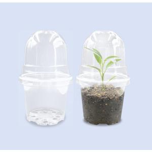 Transparent Nursery Pots 4Inch with Humidity Domes for Seeds Starting, Clear Plastic Plant Pots with Drainage Holes (4Inch, 30Pcs,Clear Pots with Lids) (Clear Pots With Domes-30p)