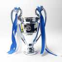 Champions TrophyResin Craft Champions Trophy Copy, Fan Collectibles and Birthday Gifts, Indoor Bedroom Decoration (30 inch)
