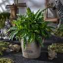 4 Pcs Artificial Greenery Stems Fake Bird Nest Fern Faux Branches Artificial Plants Realistic Fake Dracaena Realistic Plants for Indoor Outdoor Porch Patio Home Office Living Room Decor (Dark Green)